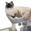 Tour pour chat 28,5 po de hauteur-2042991797