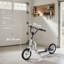 Freeport Park Scooter-1700821558