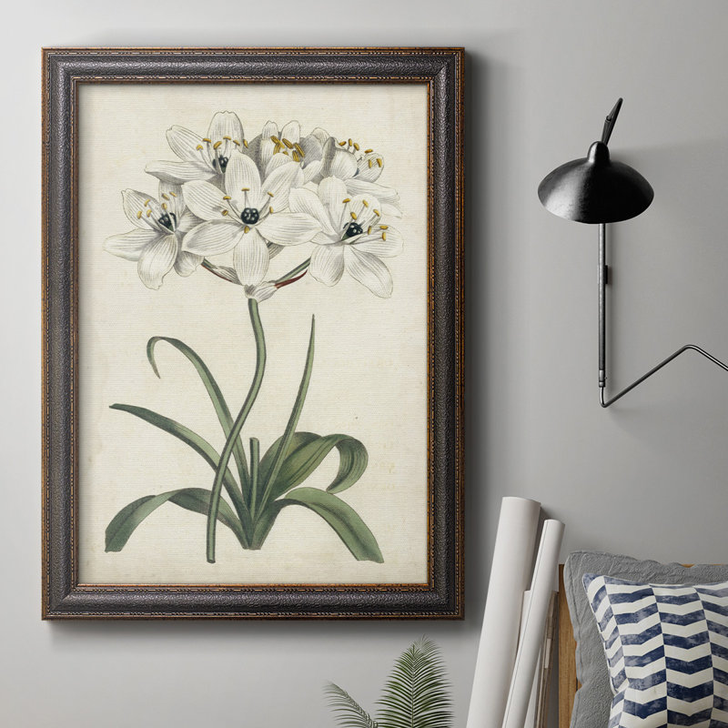 Toile encadrée de qualité supérieure Ivory Garden V - prête à être accrochée, H 20 po x l 16 po x P 2,5 po