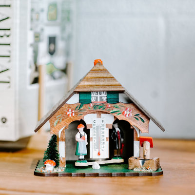 5.5'' Weather Station