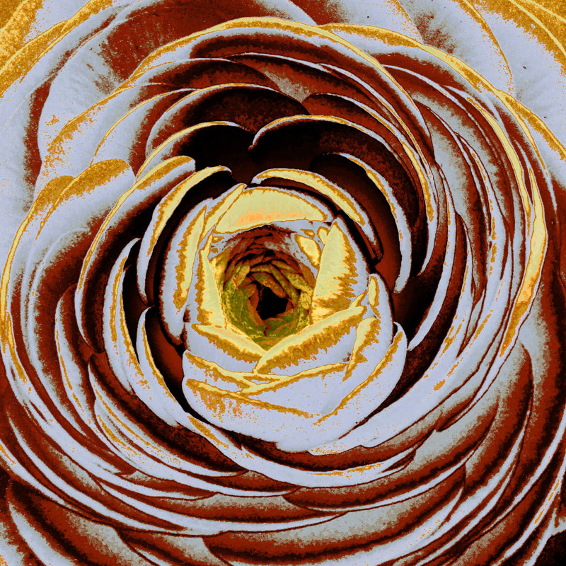 Lavinia I by Danielle Harrington - Wrapped Canvas Art Prints, 30cm H x 30cm W
