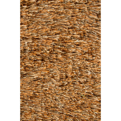 Naya Hand Loomed Area Rug in Brown/Beige