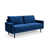 Blue is out of stock selected