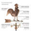 Girouette coq-29251986-105789266
