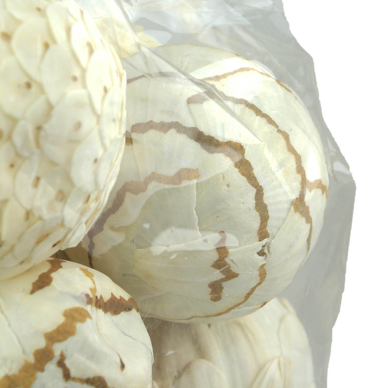 Ayva-Mae Landscape & Nature Vase Filler, Natural White/Brown