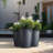 Askas Handmade Pot Planter-1536632207