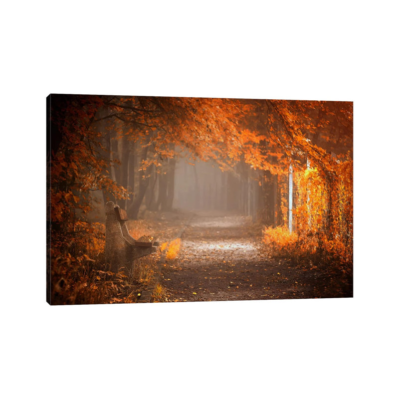 «Waiting to Fall» par Ildiko Neer - reproduction de photo, Toile tendue, H 8 po x l 12 po x P 0,75 po
