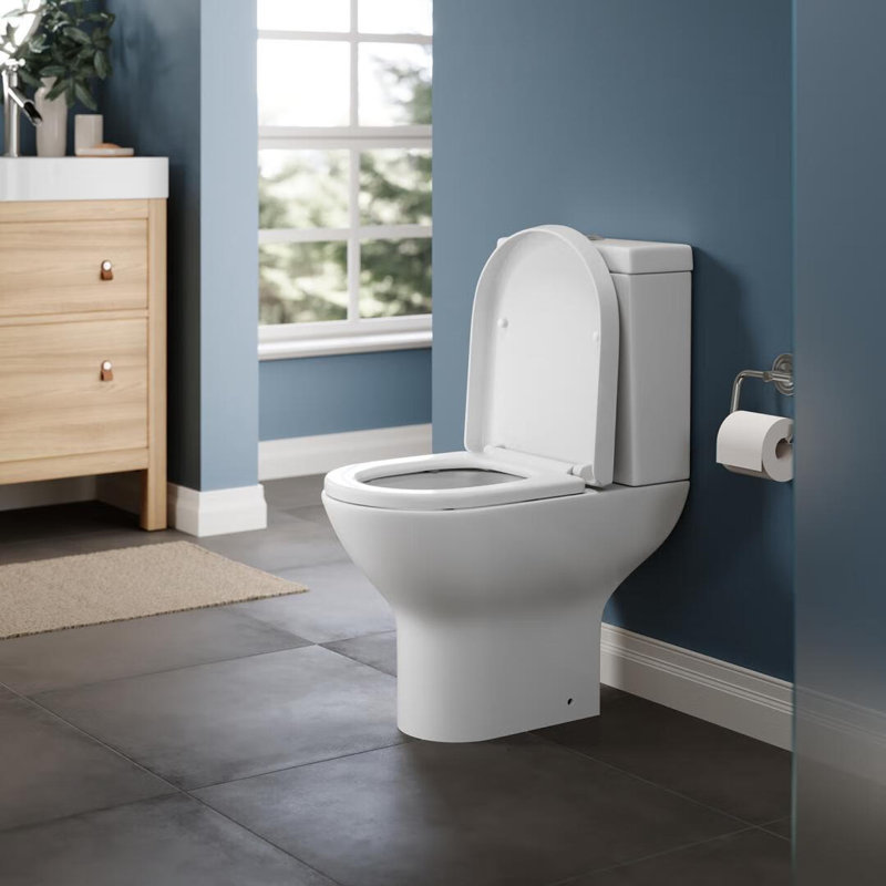 Belfry Bathroom Larios 1.59L LPF Round One-Piece Toilet (Seat Not Included)