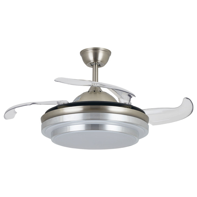 Junito 36'' Ceiling Fan with LED Lights