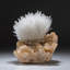 Scolécite sur stilbite du quartier de Nasik, Maharashtra, Inde (2,20 lb)