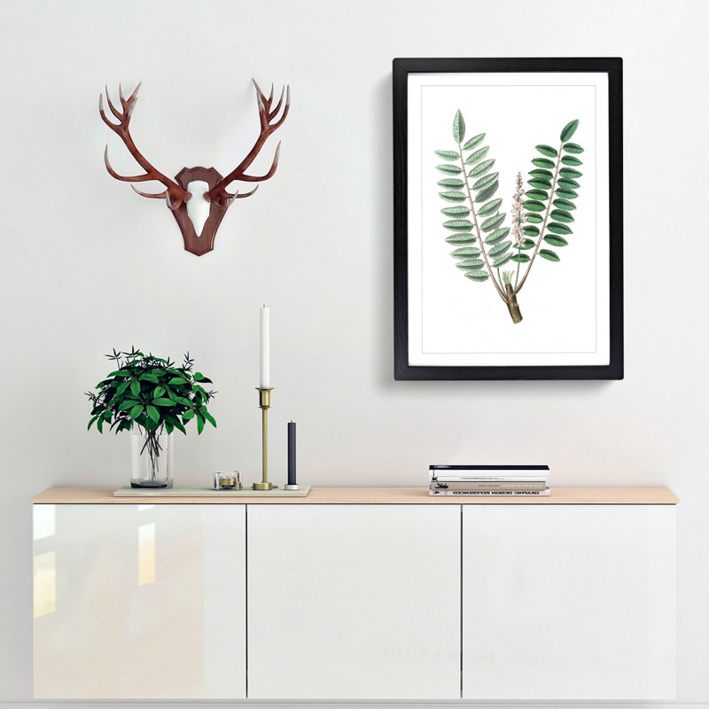Indian Frankincense Flowers Illustration - Framed Print, 48cm H x 36cm W x 2cm D, Black Framed