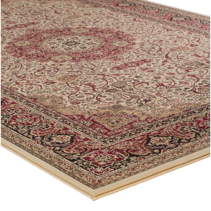 Izaiah Oriental Indoor Rug, Rectangle 10'11" x 15'