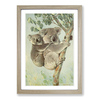 Vintage Koala by Karl Ludwig Hartig - Framed Print