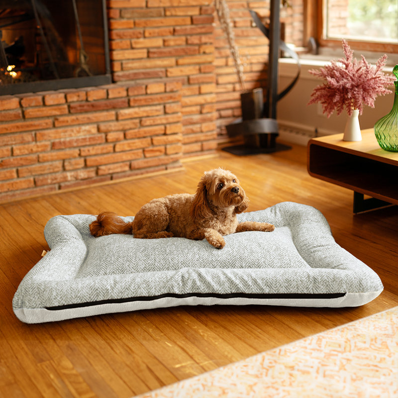 Lit réversible en microsuède ivoire pour chien et chat All Day with Cloud 9, Tourterelle Palmer, H 5 po x l 30 po x P 40 po