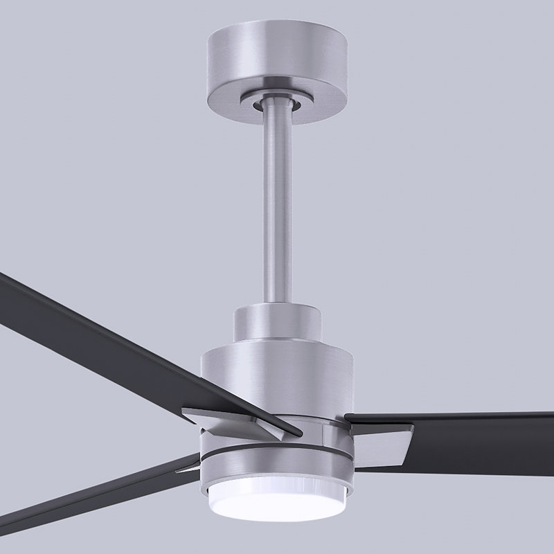 Ventilateur de plafond Alessandra, Noir mat, Nickel brossé, 56"