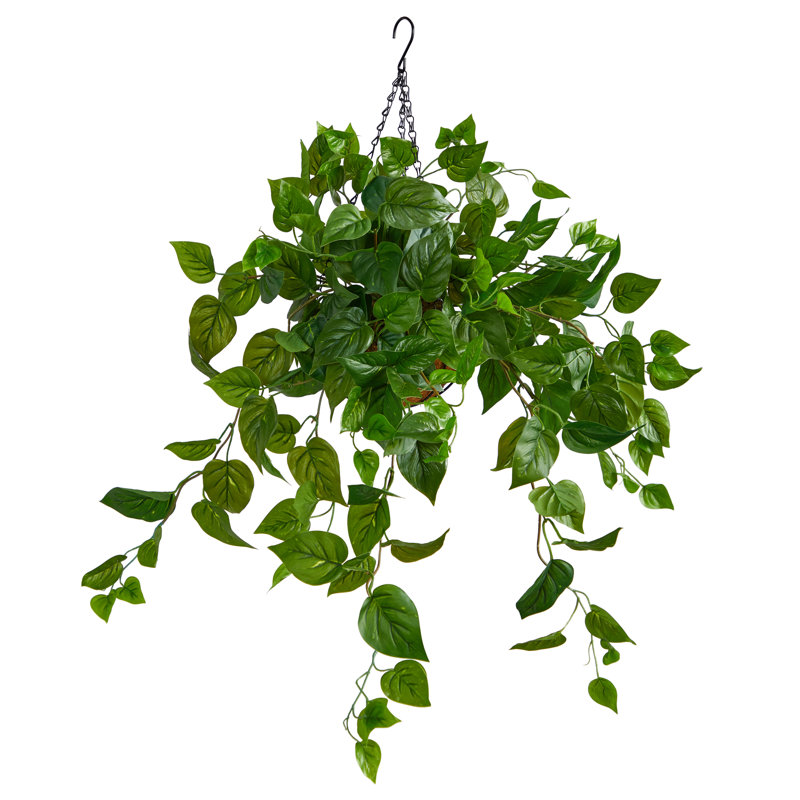 Plante artificielle en panier 30 '' Philodendron
