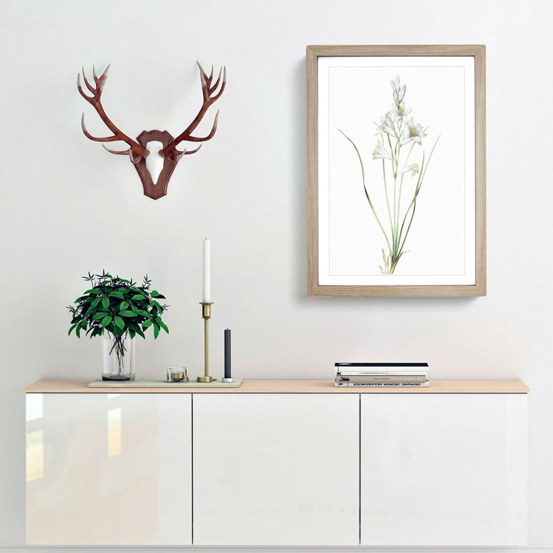 Paradise Lily by Pierre-Joseph Redoute - Picture Frame Painting Print, 65cm H x 48cm W x 2cm D, Oak Framed