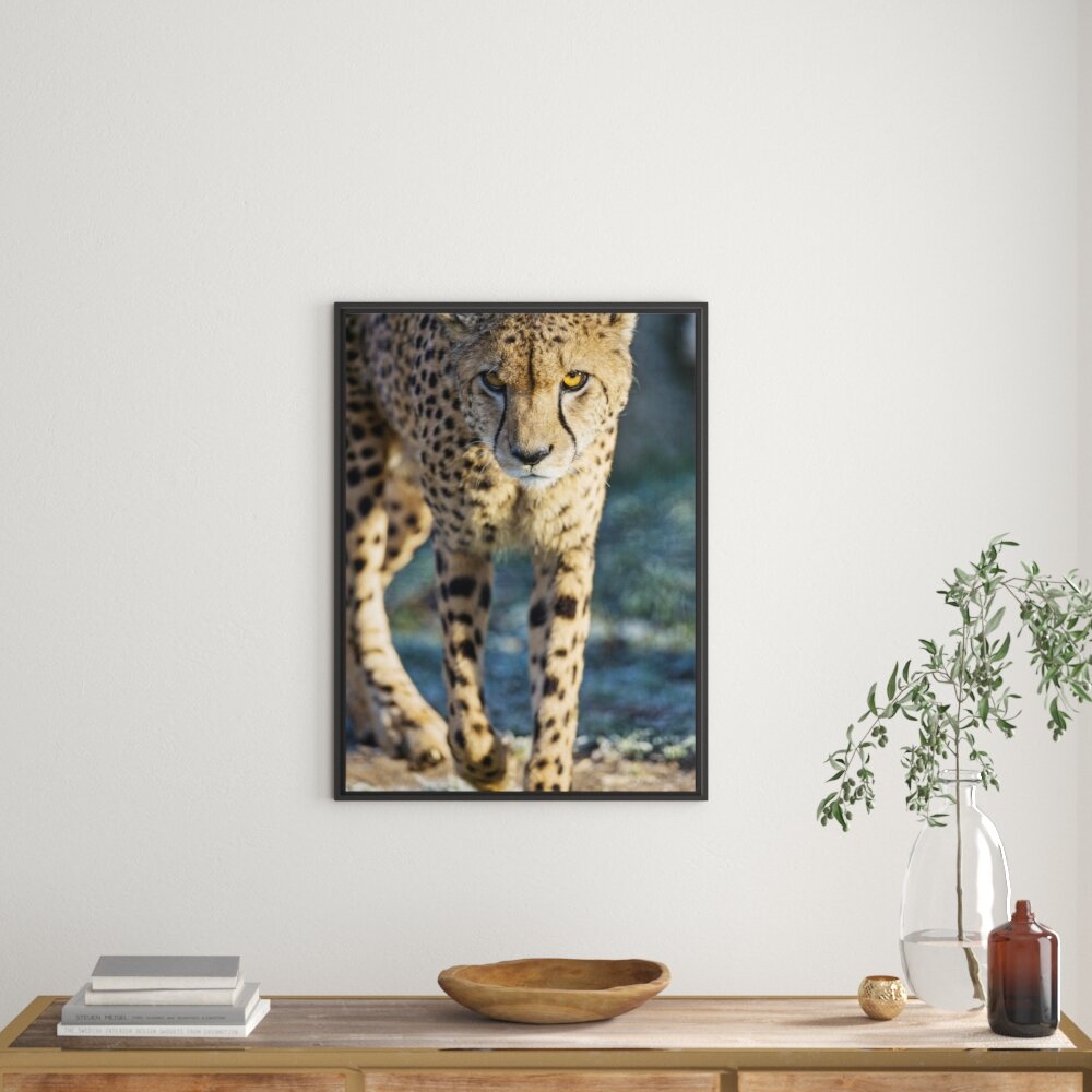 Gerahmtes Wandbild anpirschender Gepard