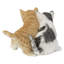Chatons assis ensemble