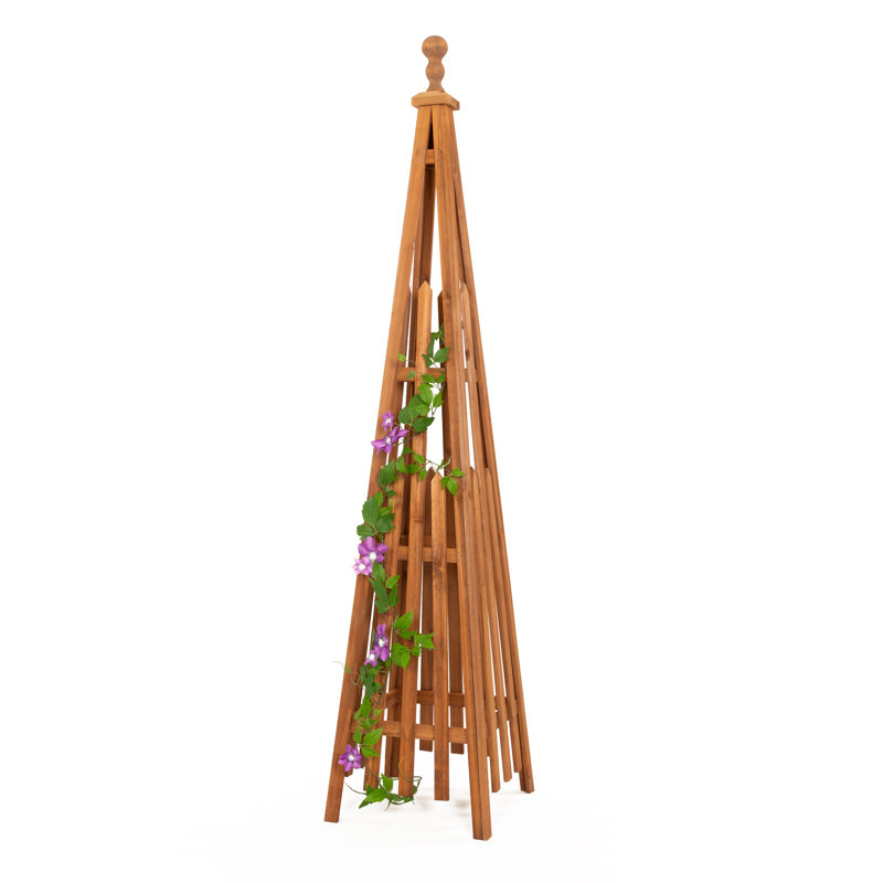 172.7cm H Wood Obelisk Trellis, 172.7cm x 35.6cm x 35.6cm, Brown