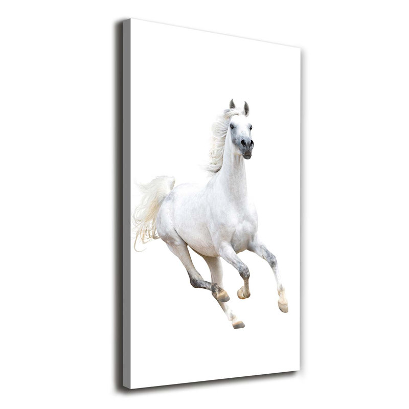 White Horse In Gallop - Wrapped Canvas Print, 140cm H x 70cm W