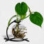 Vase de table Berryville Bud - Transparent-24249965