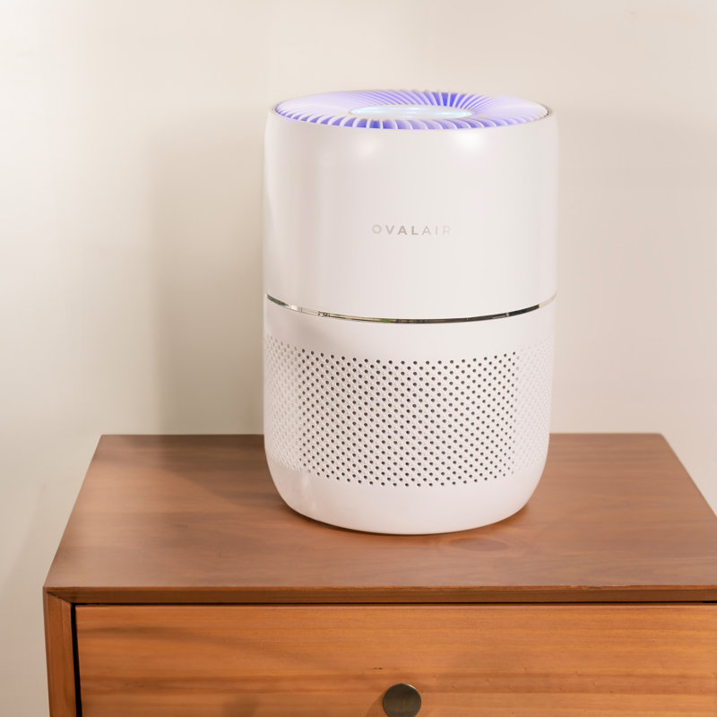 Tabletop Air Purifier with True HEPA Filter