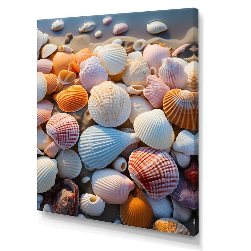 «Beach Photo Sunlit Shells II», reproduction sur toile, L 12 po x H 20 po, Toile tendue