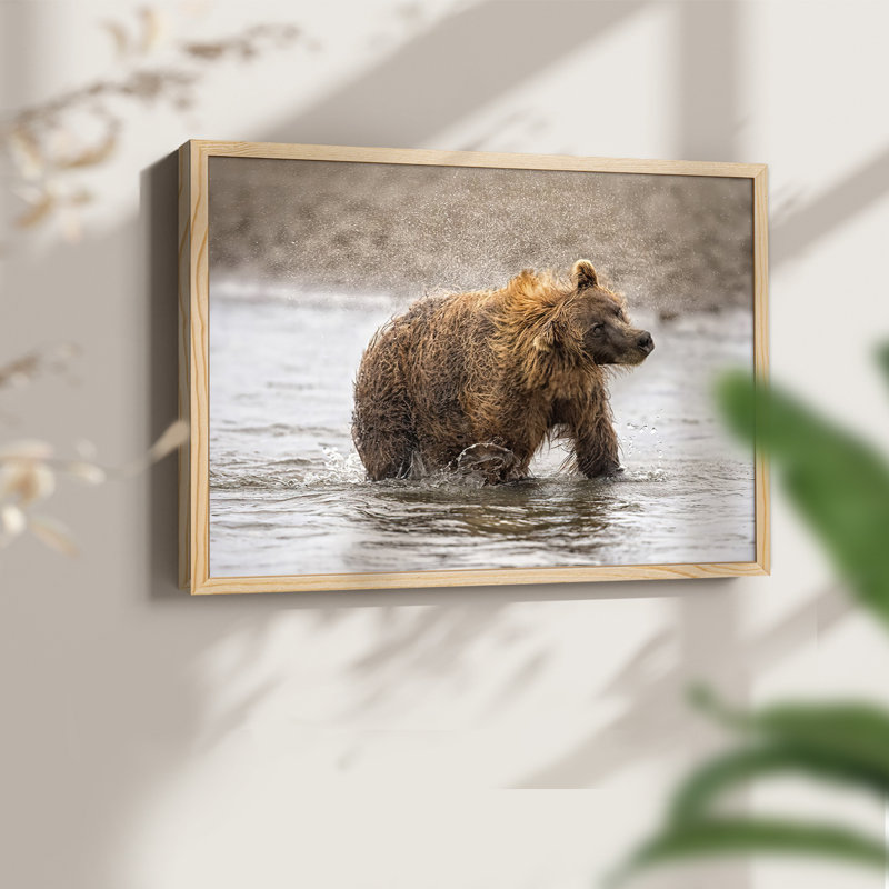 Photography Study Shake it Off -Framed Print - Restickable, Naturel, H 11 po x l 14 po