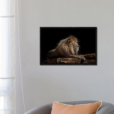 Lazarus by David Whelan - Print on Canvas