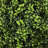 Primrue - Artificial English Boxwood Topiary Ball Tree-1875484831