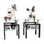 Ensemble de 2, table basse moderne en verre trempé, table de bout, table carrée pour le salon, transparent / noir-642546796