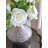 D9X10" Glass Silver Vase