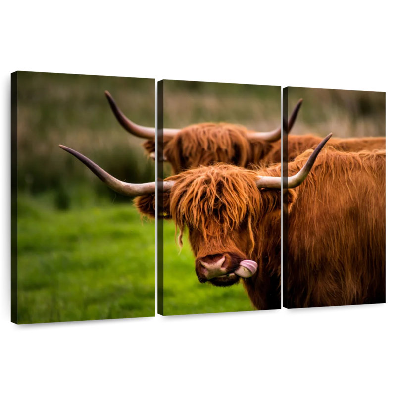 Brampt Fluffy Highland Cows, 20" H x 33" W