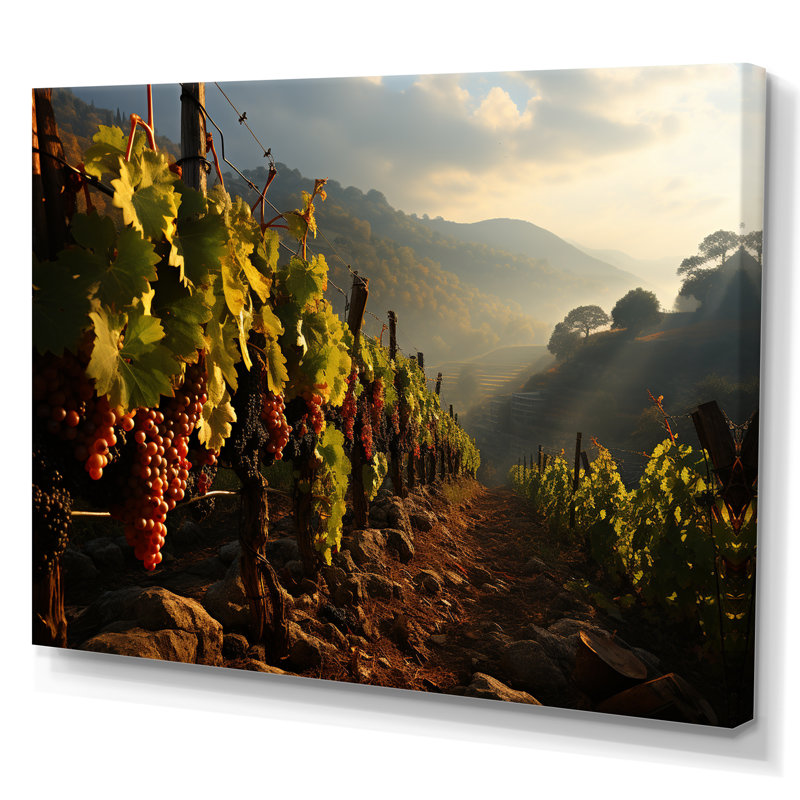 «Vineyard Misty Meadows Cellars I», reproduction sur toile, H 16 po x l 32 po x P 1 po, Toile tendue
