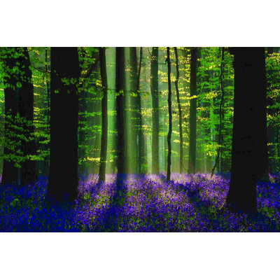 Scène de printemps parfaite