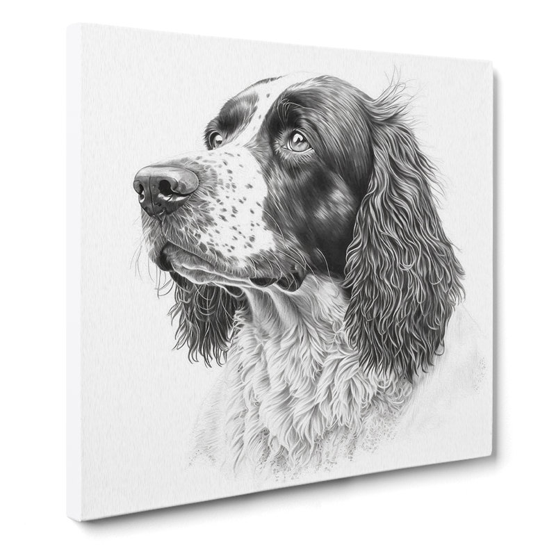 English Springer Spaniel Drawing - Wrapped Canvas, 50cm H x 50cm W x 3cm D