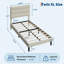 Structure de lit plateforme simple tapissier simple TG - tête de lit en velours, lattes en bois robustes, silencieux, sans sommier, assemblage facile - velours beige-130612456