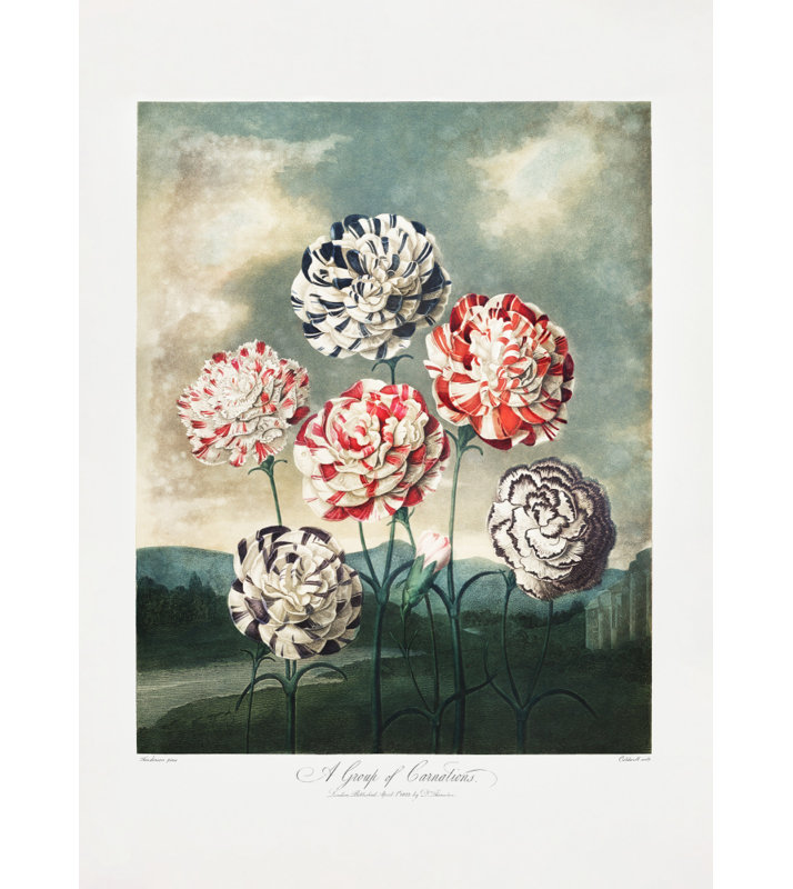 Wrapped Canvas Print, 76.2cm H x 50.8cm W