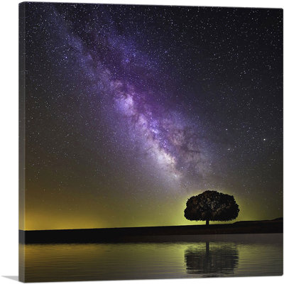 " Milky Way Galaxy And Tree "