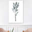 « herb » par albina bratcheva print-43718715-43718716
