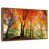 Floating Frame Gold