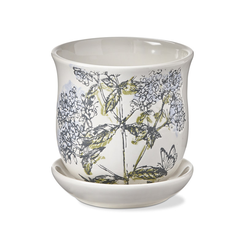 Oregano Planter W/ Saucer Set