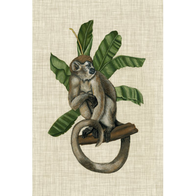 Auvent singe I