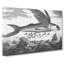Flying Fish by Thomas Astley - Wrapped Canvas-55304423