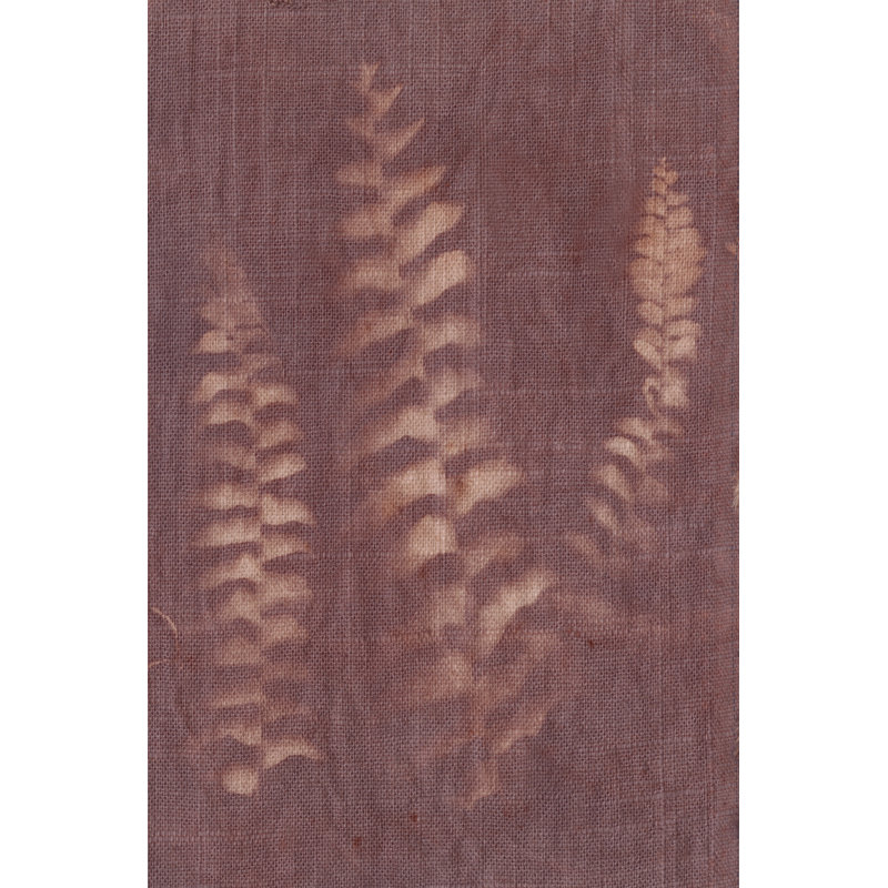 Botanical Sun IV, 46cm H x 30cm W x 3.8cm D