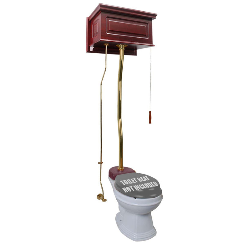 Toilette suspendue murale 1,6 GPF (siège non inclus), Chêne clair / or
