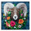  «Longhorn Sheep With Wreath» par Heather Gauthier, art mural en verre acrylique, 12 po x 12 po
