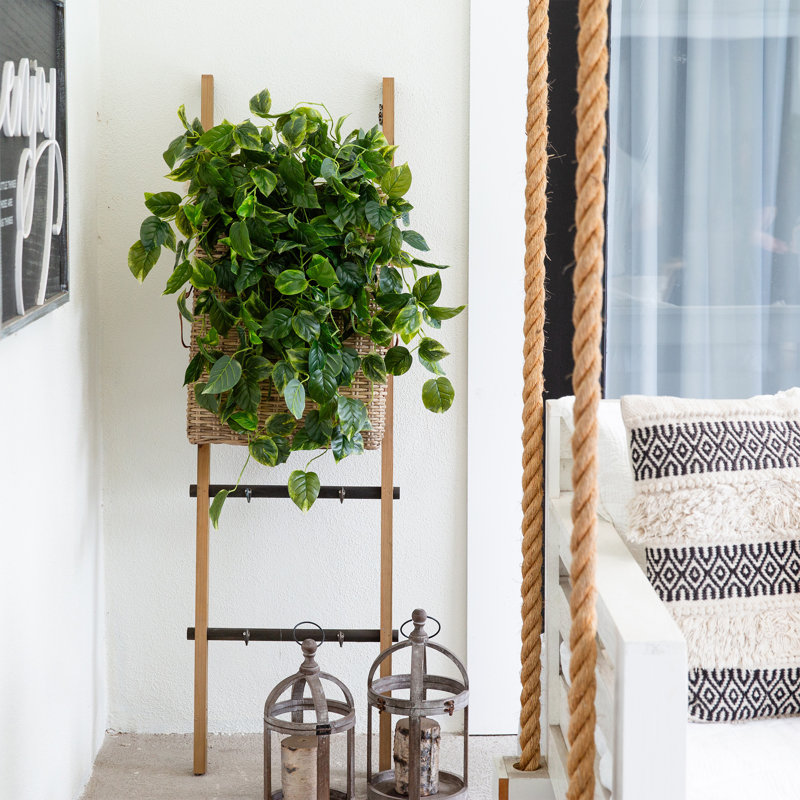36 po Pothos artificiel suspendu résistant aux rayons UV (intérieur / extérieur) - ensemble de 2