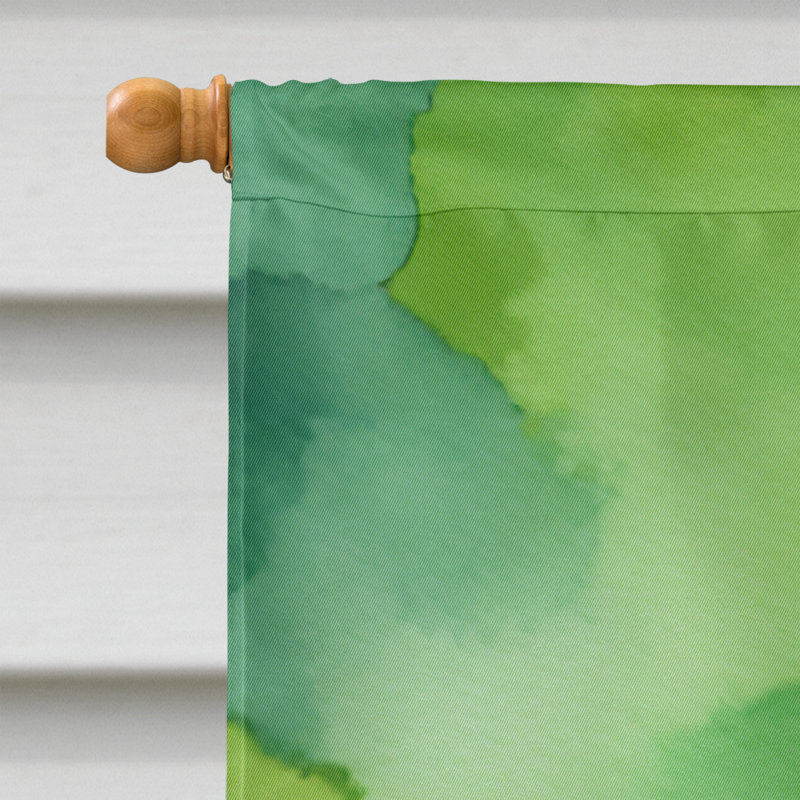 Double Sided 40'' H x 28'' W Polyester House Flag